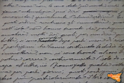 Santa Ninfa 19 11 2016 179.jpg